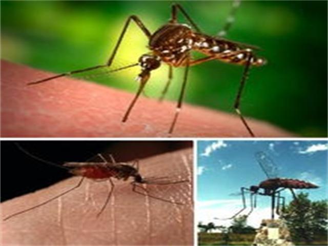 How to “Reject” the Red Packets Given By Mosquitoes?