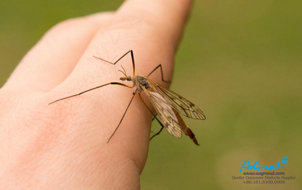 The Way for Mosquitoes to Choose Its Prey